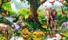 Adaptación de los animales al medio ambiente