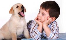 ¿Qué diferencia a los animales de los seres humanos?