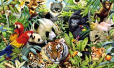 Qué son los animales