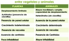 Diferencias entre el reino animal y el reino vegetal