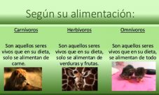 Cómo se alimenta el reino animal