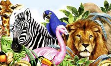 Ejemplos del reino animal