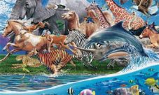 Cuál es la importancia del reino animal